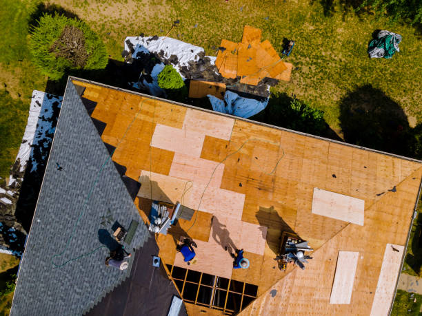Best Slate Roofing Contractor  in Jacinto City, TX