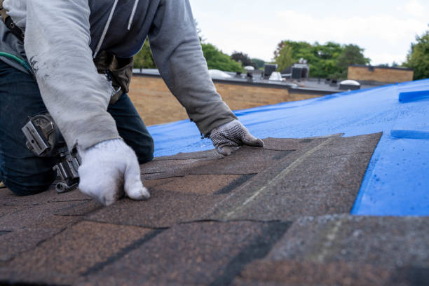 Best Storm Damage Roof Repair  in Jacinto City, TX